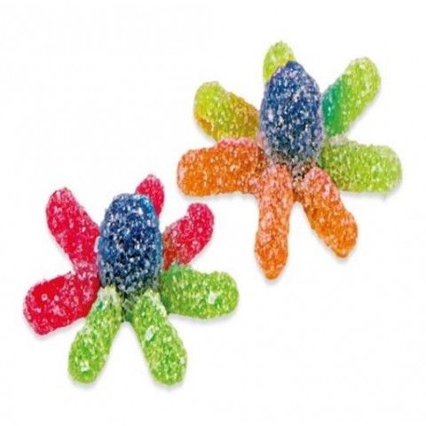 Fizzy Fizzy Octopus Fizzy Fizzy Octopus