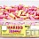 Haribo Rhubarb & Custard Tub