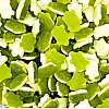 Haribo Jelly Terrific Turtles (3kg) Haribo Jelly Terrific Turtles (3kg)