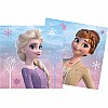 Disney Frozen 2 Wind Spirit Paper Napkins - 33cm