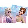 Disney Frozen 2 Wind Spirit Paper Napkins - 33cm Disney Frozen 2 Wind Spirit Paper Napkins - 33cm