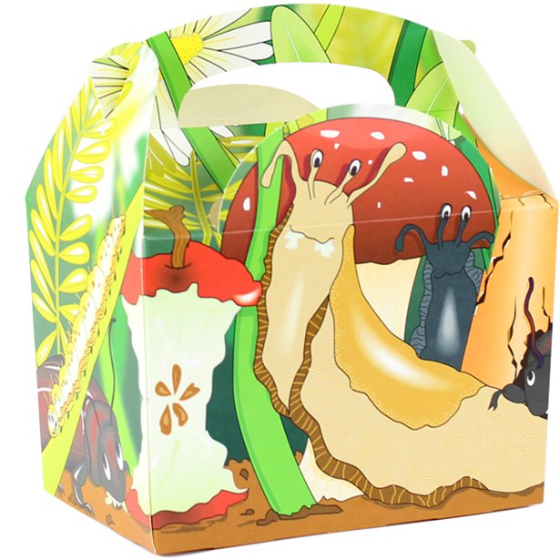 Bugs Party Box - 15cm long Bugs Party Box - 15cm long