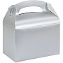 Silver Party Box