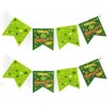 St Patricks Day Flag Bunting 4m