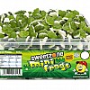 Sweetzone Mini Frogs