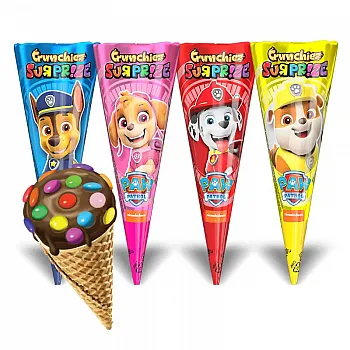 Paw Patrol Surpise Cornet